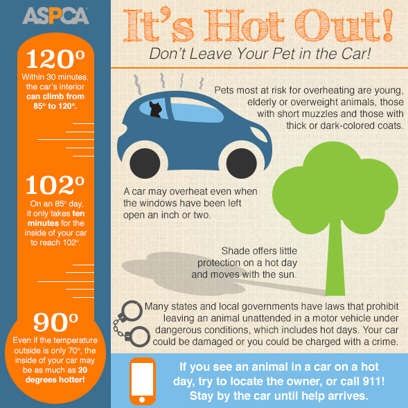 ASPCA infographic
