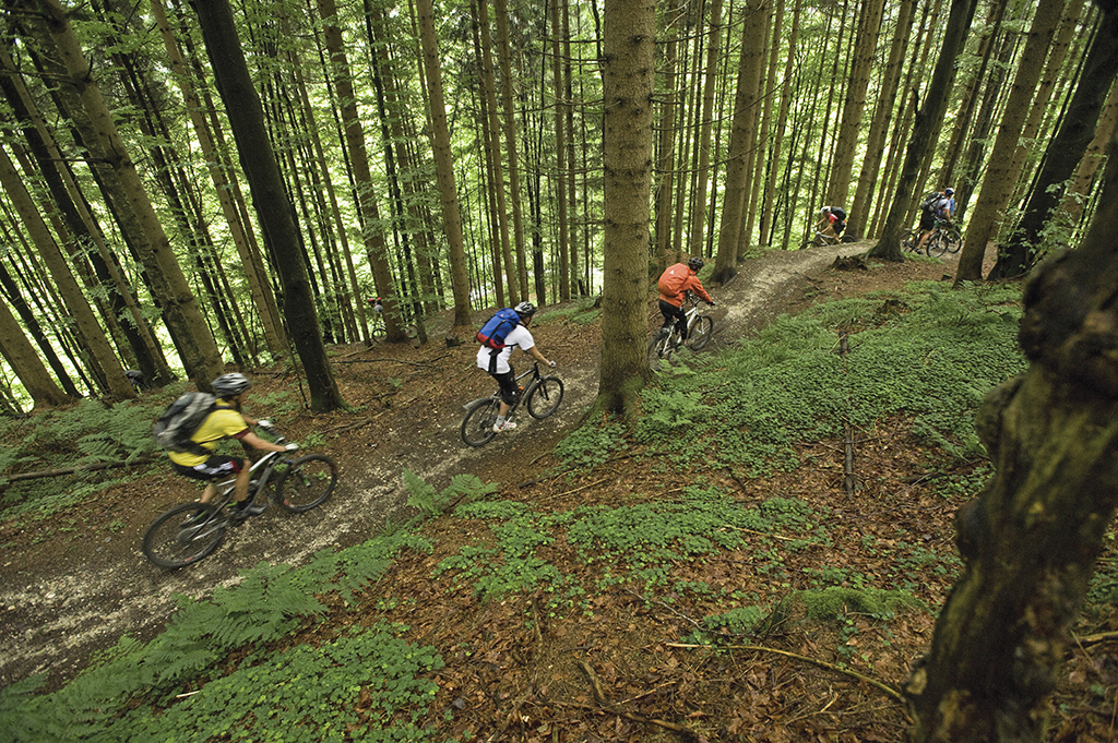 Wendell Falls by Newland Communities Raleigh Community Living