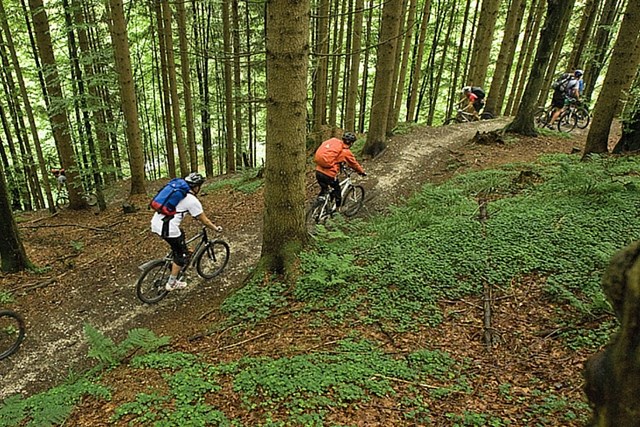 5 Places for Mountain Biking in Nova Scotia