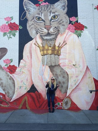 Cat mural in Raleigh NC