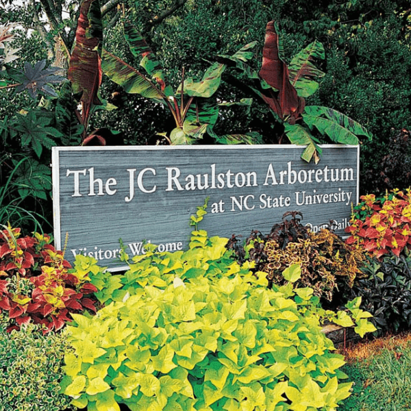 JC Raulston Arboretum