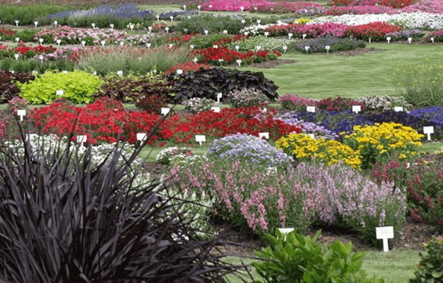 JC Raulston Arboretum