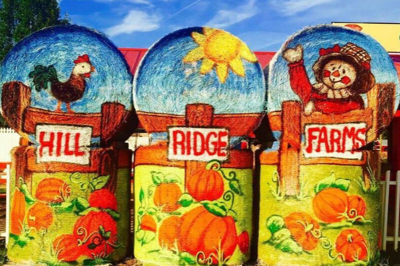 Hill Ridge Farms pumpkin sign
