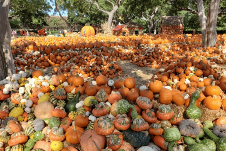 Kid Friendly Halloween Northwest Arkansas