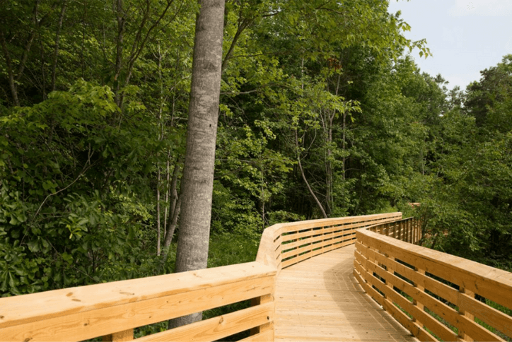 Boardwalk trail in Wendell Falls