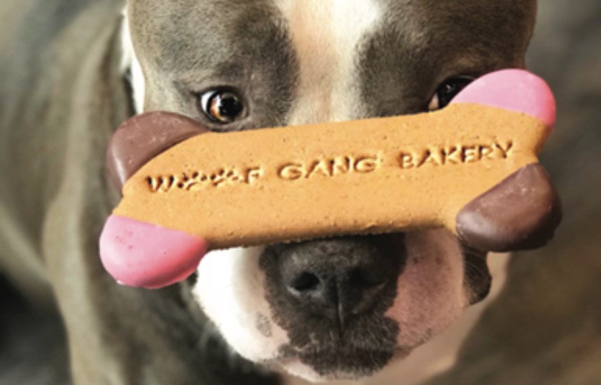 Woof Gang 1.png