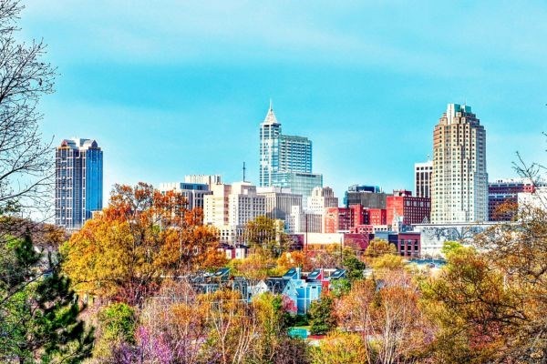 WF Blog Teaser 11.5.25