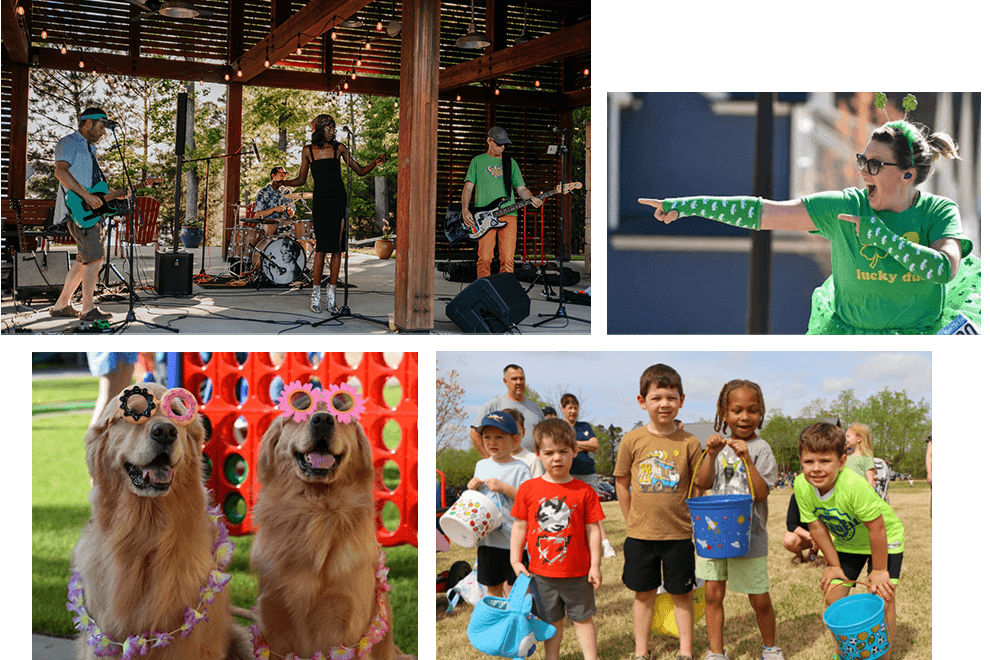 Wendell Falls 10 Year Anniversary Wendell Nc Collage