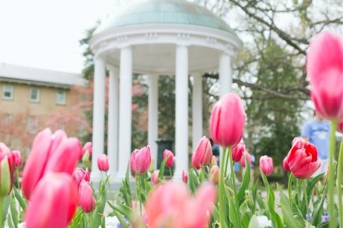 UNC Campus Well