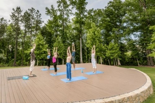 Yoga in the Grove