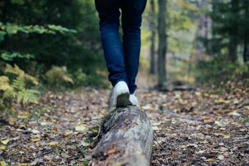 Walking through the woods